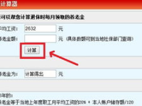 退休后养老金计算器,养老金计算器使用指南”