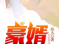 豪婿 小说,赘婿逆袭之路