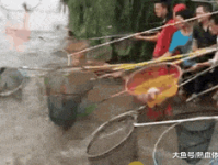 搞笑 gif,搞笑GIF里的趣味人生