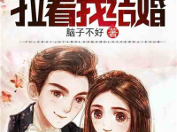 娱乐小说老板,老板的逆袭之路
