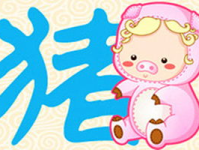 83年属什么的生肖,“揭秘1983年属猪人的命运与性格特点”